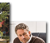 CU Online photo collage