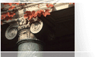 Boston University Online