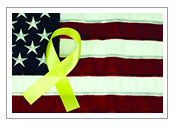 Lewis University is a Yellow Ribbon Program participant