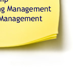 MSM - Project Management