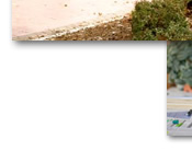 Learn More About Western New England College