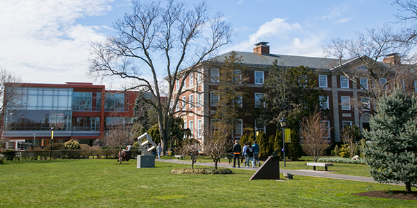 adelphi university online; colleges with sports management programs