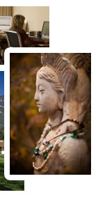 Pacifica photo collage