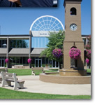 Brescia university degrees and programs