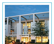 Lynn University online