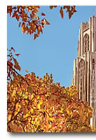 Tower of Learning