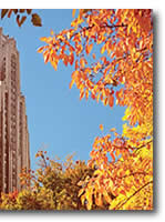 Tower of Learning image 2