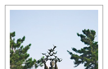 saint francis university online