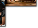 Stevenson University Online Programs