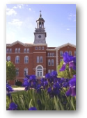 University of Saint Mary campus photograph