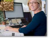 Western New England University Online