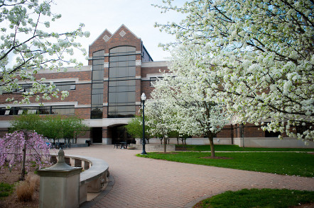 Indiana State University Online LPN to BSN
