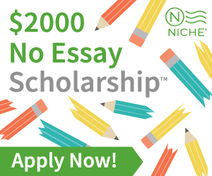 Niche Scholarhship