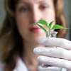 Online Environmental Science Degrees Online Environmental Science Degrees - Environmental Science Degree Programs