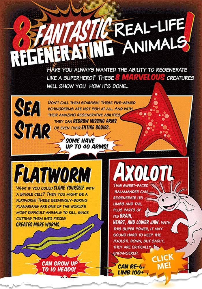 Regenerating Animals Will Blow Your Mind With Their Powers Regenerating Animals Will Blow Your Mind With Their Powers