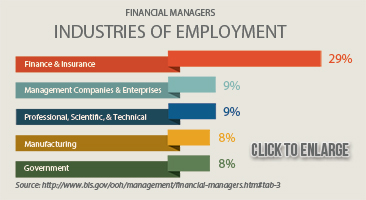 Financial Managers Employment Options